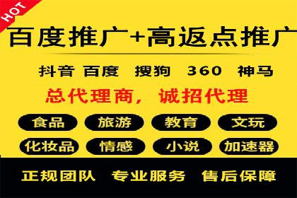 谷歌SEM广告策略：某电商平台的成功逆袭案例